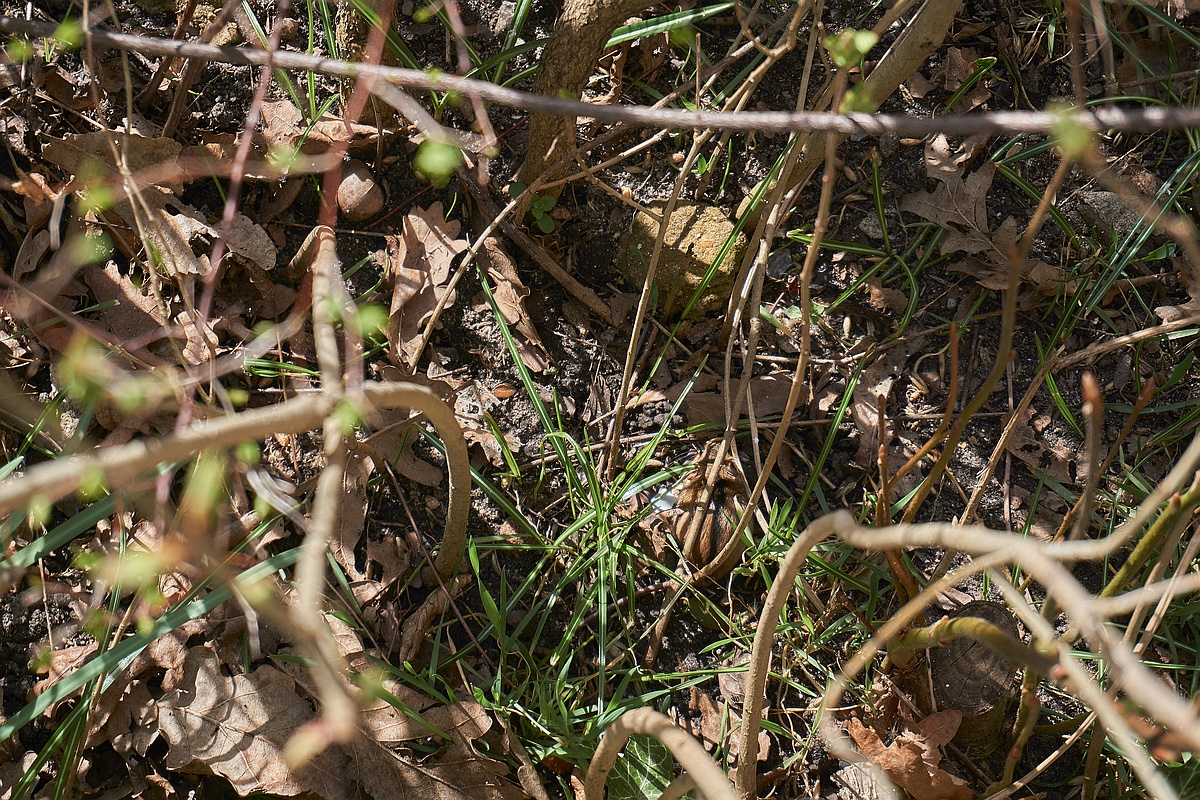 Well Hidden